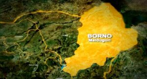 Many Feared Dead as Bomb Explodes in Maiduguri