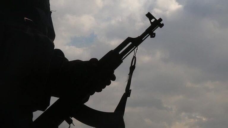 Five Killed in DR Congo Park Attack