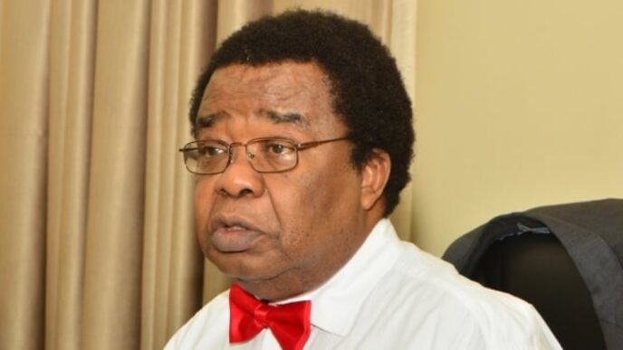 Akinyemi Defends Tinubu’s UK Visit Despite Borno Attack (News Central TV)