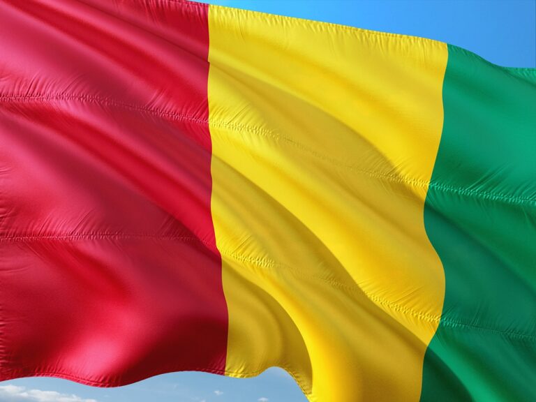 Guinea Dossolves 40 Political Parties