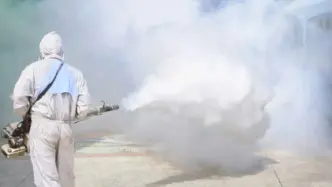 Kwara Orders Statewide Anti-Snake Fumigation