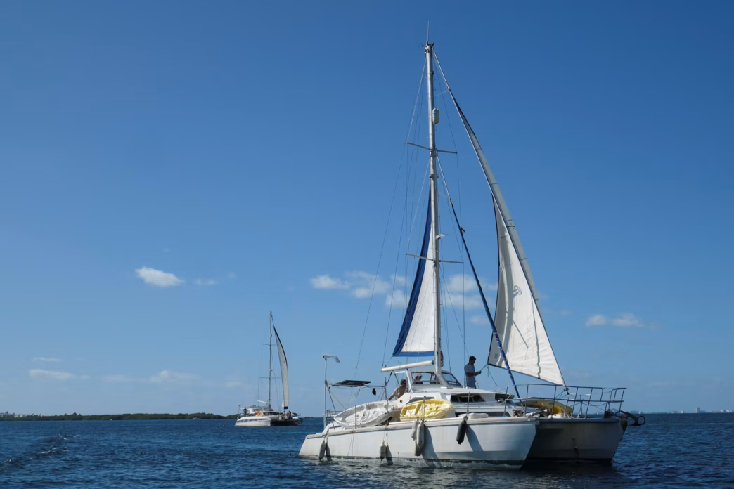 Sailboats (News Central TV)