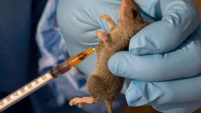 Lassa Fever Kills 75, Infects Five Healthcare Workers