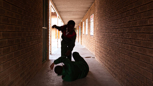 Expert Demands Intervention to Tackle Bullying (News central TV)