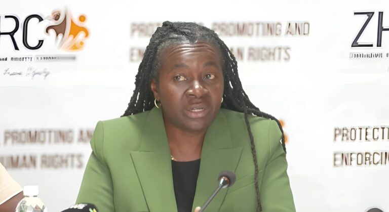 Zimbabwe President Removes Rights Commission Chair