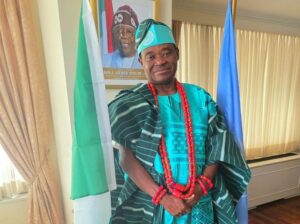 Nigeria’s Jimoh Ibrahim Elected Chair of UN Budget Committee (NewsCentral TV)