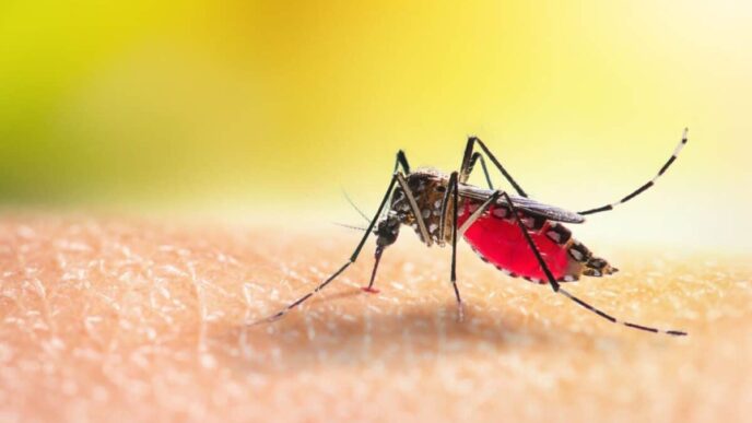 Malaria (News Central TV)