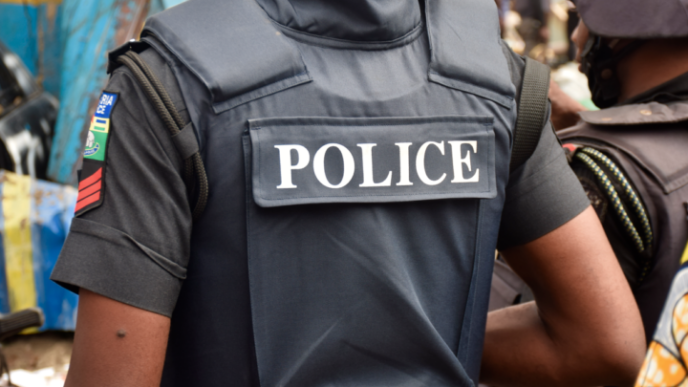 Police Arrest 'One Chance' Robbers in Lagos (News Central TV)
