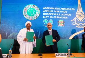 AfDB Delegates Push for Domestic Capital to Fund Development