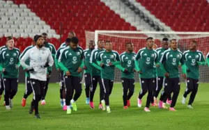 'Embarrassing' Visa Issues Hit South Africa Football Team