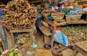 Benin Residents Embrace Herbal Medicine (News Central TV)