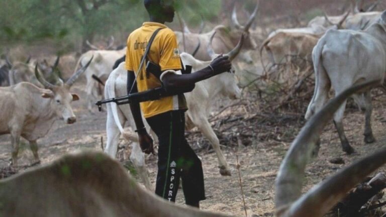 US Report Says Fulani Militants Top Threat in Nigeria