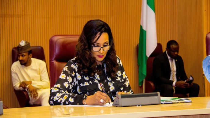 Nigeria to Repatriate 1,000 Nationals from South Africa (News Central TV)