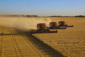 How Kenya Is Packaging Farm Debt for Global Investors