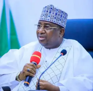 Kebbi (News Central TV)