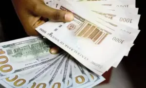 Dollar Inflows Pushes Naira Higher (NewsCentral TV)