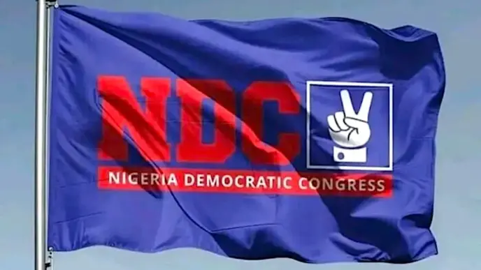 NDC Dismisses Enugu Primary Election Results as Fake (News Central TV)