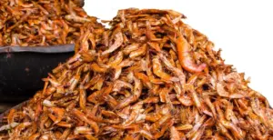 Traders Blame Scarcity for Crayfish Price Hike (News Central TV)