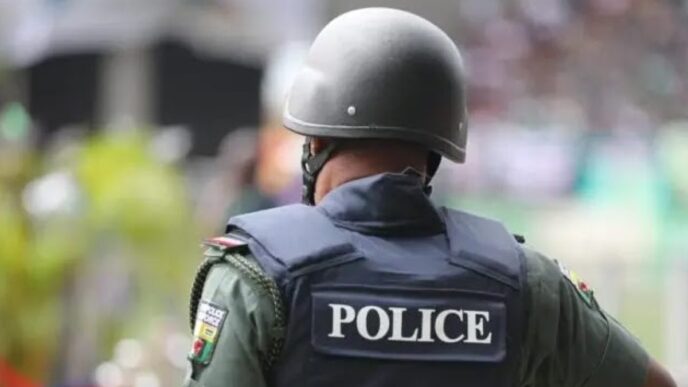 Kidnap Network Exposed After Adelabu’s Sister’s Rescue (News Central TV)