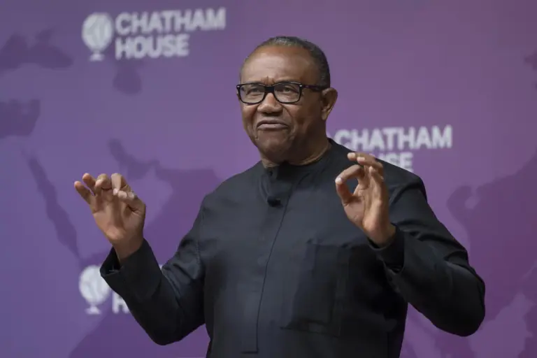 Peter Obi’s Vision, In His Own Words