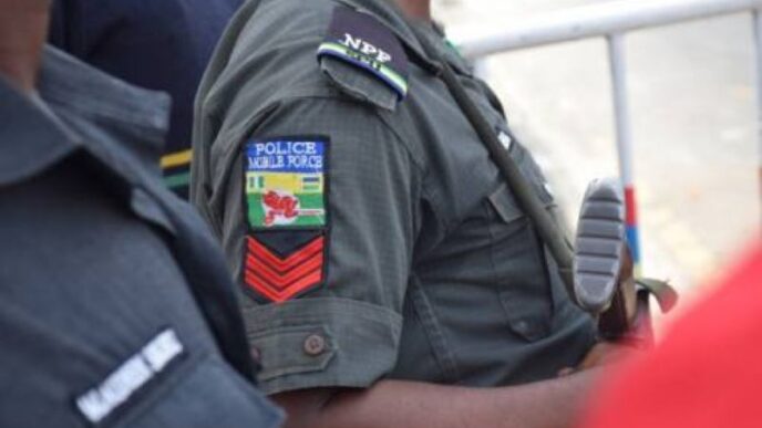 Police Arrest Two Suspects Over Theft, Illegal Firearm Possession(News Central TV)