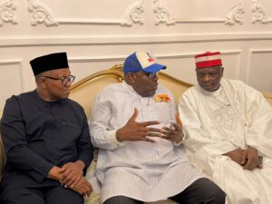 NDC Has No Manifesto or Plan for Nigeria – Presidency