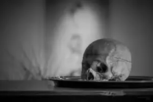 Skull (News Central TV)