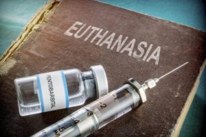 Uruguay Records First Euthanasia Death (News Central TV)