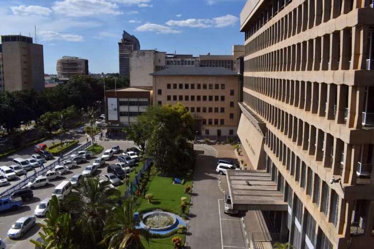 Zambia Cuts Rates as Inflation Stabilises