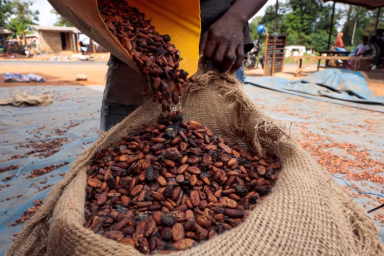 Ivory Coast Faces Cocoa Traceability Gap