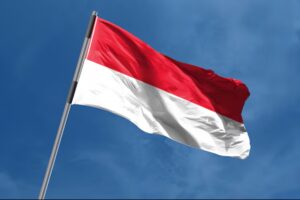 Indonesia Says Papua Rebels Killed Eight Gold Miners