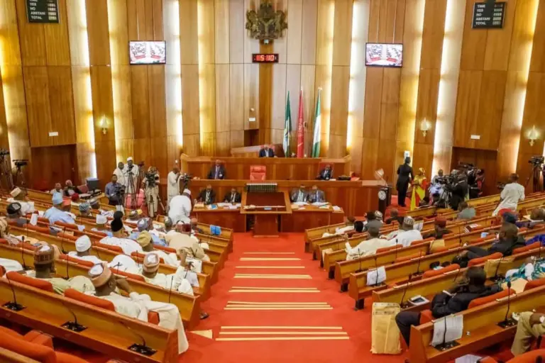 The Governor-to-Senate Pipeline Draining Nigeria’s Democracy