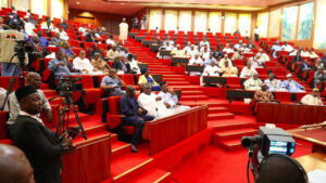 Senate Moves to Tackle South Africa Xenophobic Attacks