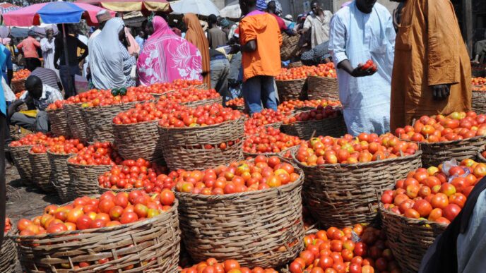 Food Prices Rise in April 2026 - NBS (News Central TV)