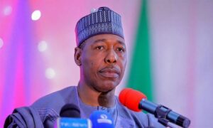 Borno Governor Commends Tinubu, Military Over Captives Rescue