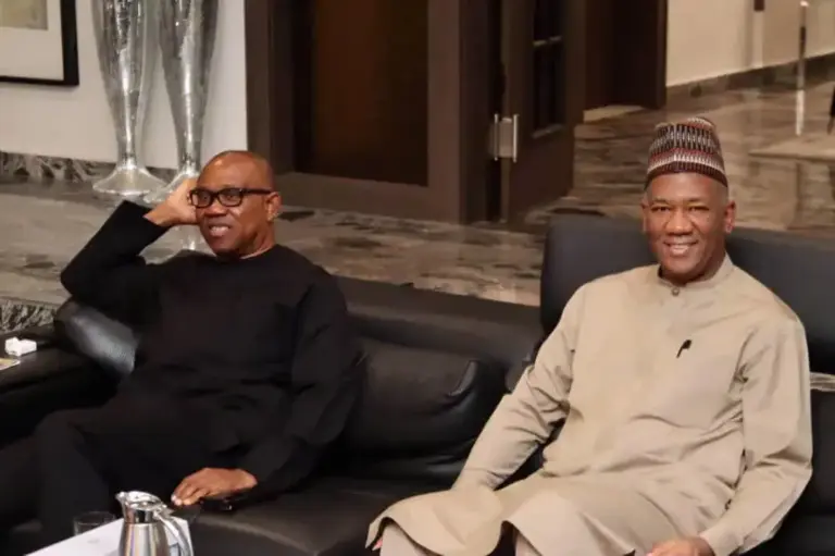 I Became Obi’s Running Mate Out of Sympathy – Baba-Ahmed