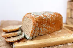 How Unsafe Food Weakens Nigeria’s Health, Economy (News Central TV)