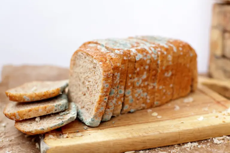How Unsafe Food Weakens Nigeria’s Health, Economy