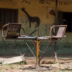 schools (News Central TV)
