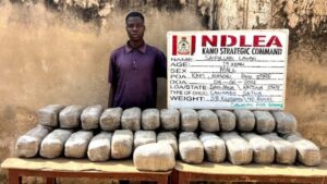 NDLEA Arrests Suspected Drug Traffickers (News Central TV)