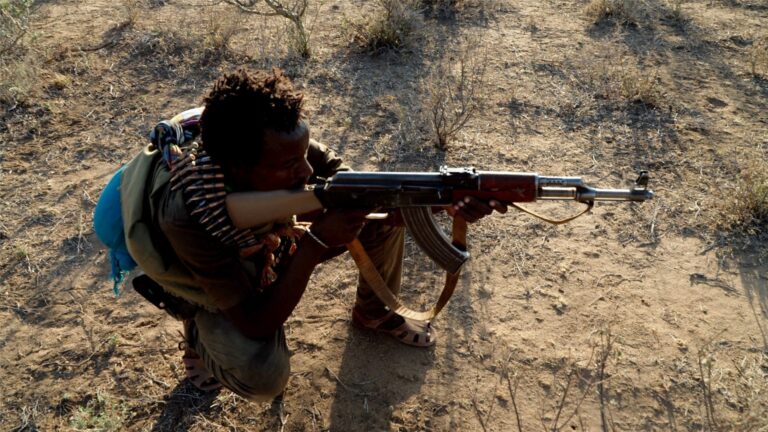 Ethiopia Rebel Group Accused of Deadly Election Attacks