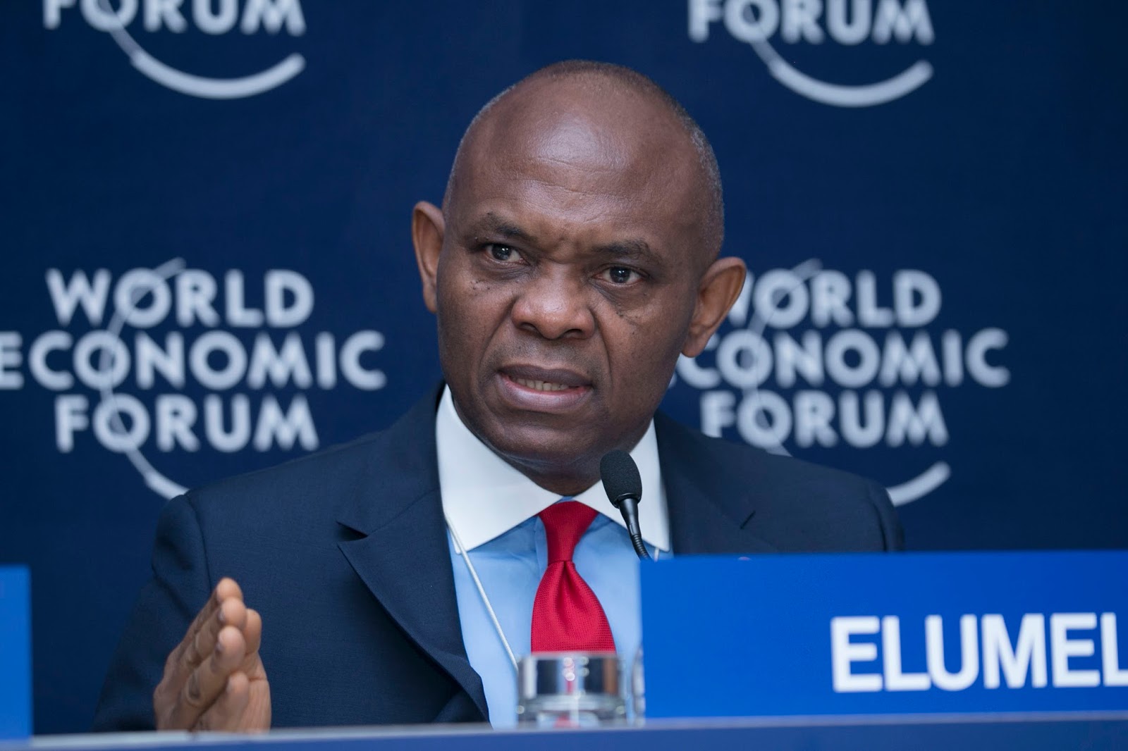 Tony Elumelu (News Central TV)